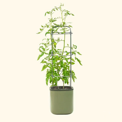 🌱Self-watering planter with a trellis🌻