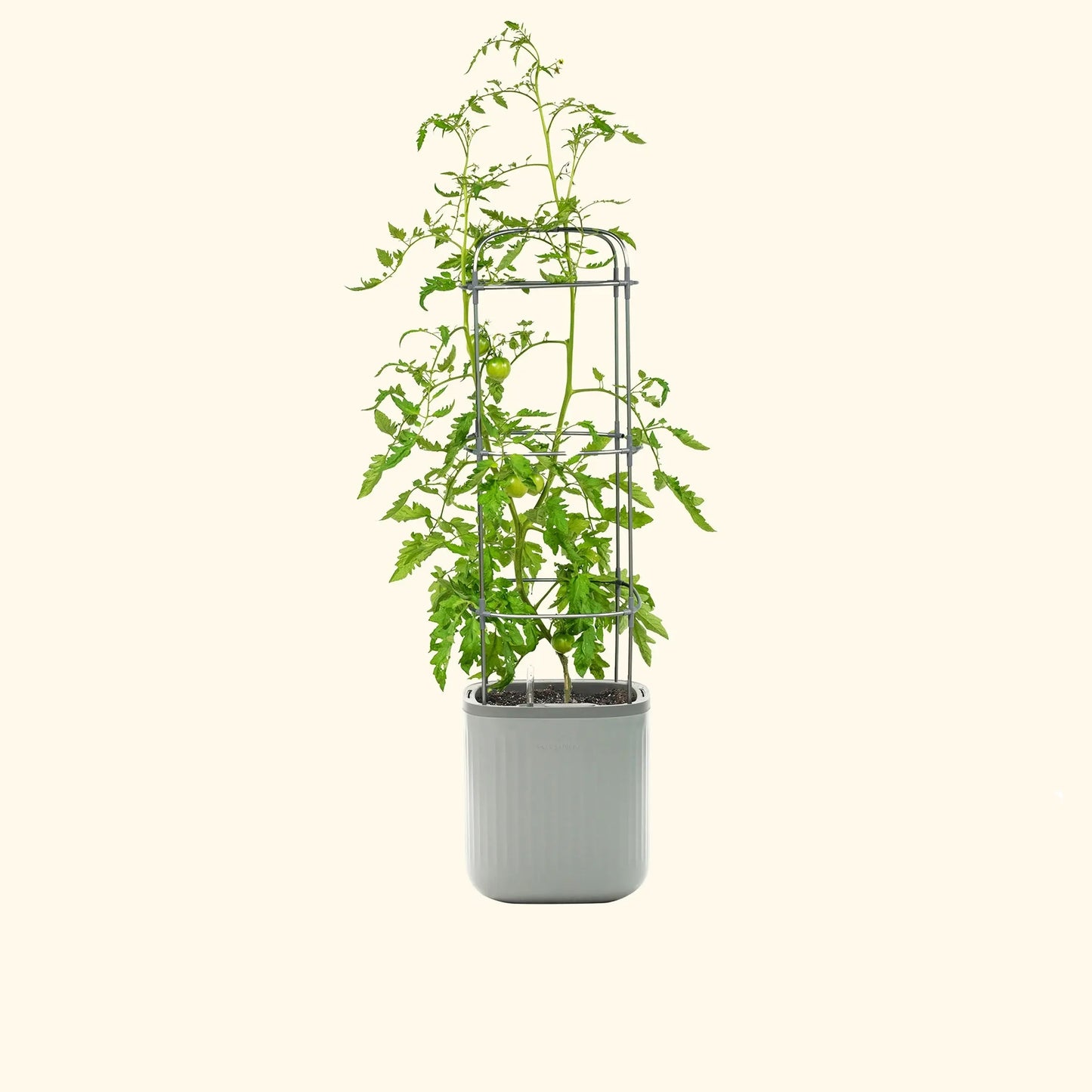 🌱Self-watering planter with a trellis🌻