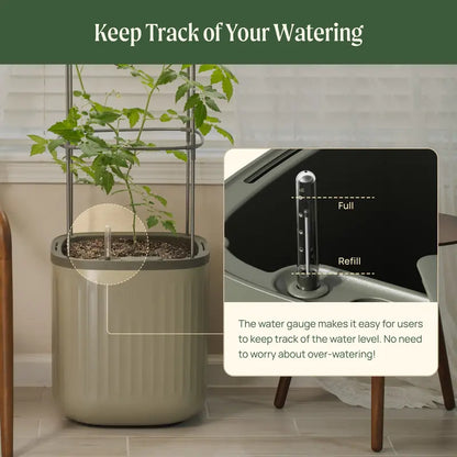 🌱Self-watering planter with a trellis🌻